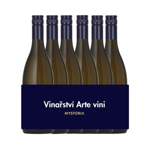 Degustační set vín | Vinařství Arte Vini | 6x0,75L